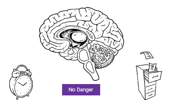 Brain doesn't detect danger