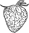 brain food icon