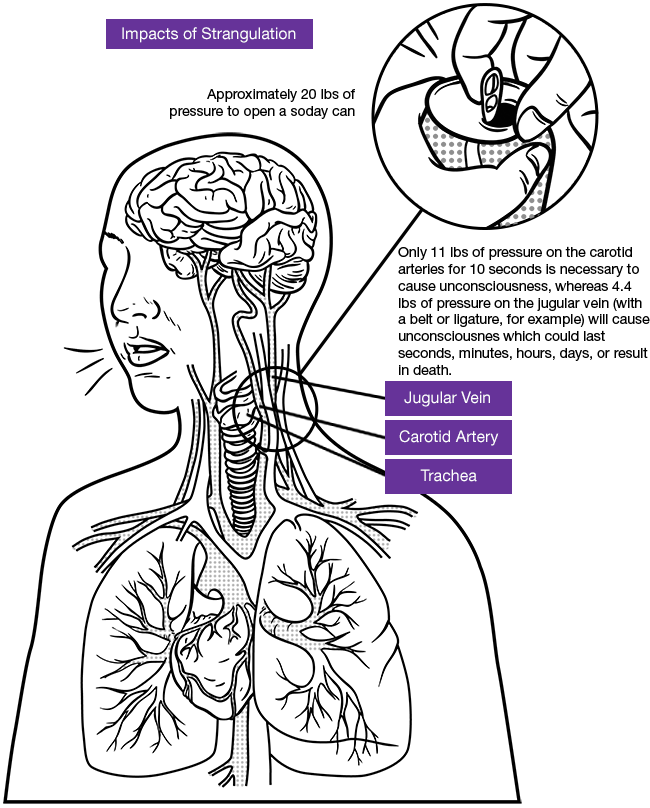 Impacts of strangulation: carotid artery, jugular vein, trachea