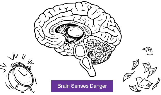 Brain Senses Danger