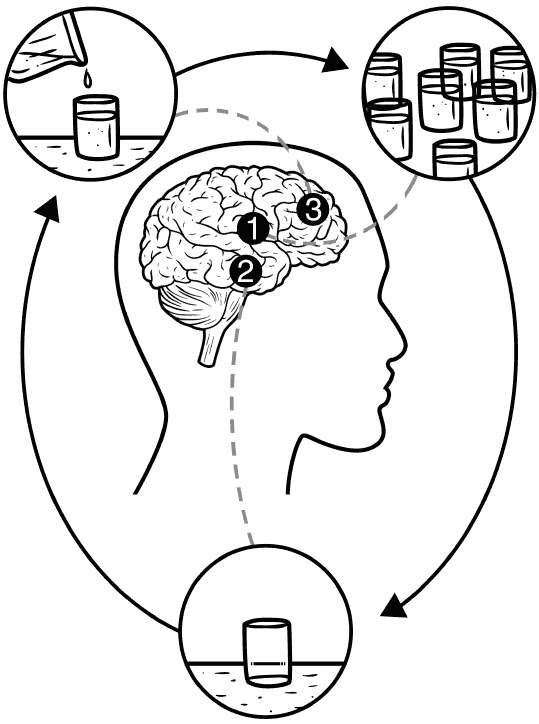 Brain with glasses at 3 different level depicting alcohol dependency