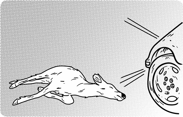 Collapsed immobility: deer playing dead