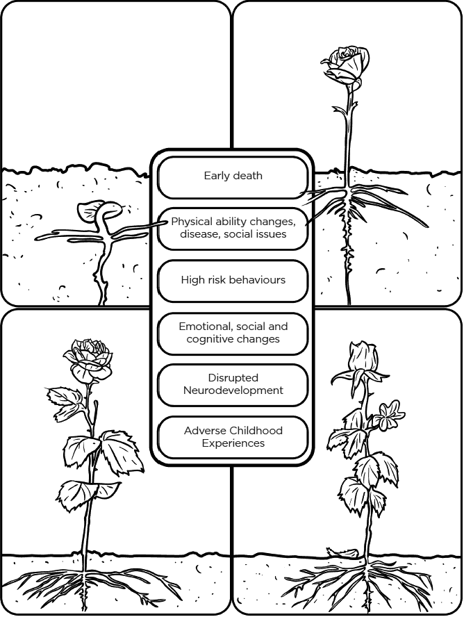 Early death; Physical ability changes, disease, social issues; High risk behaviours; Emotional, social and cognitive changes; Disrupted neurodevelopment; Adverse childhood experiences