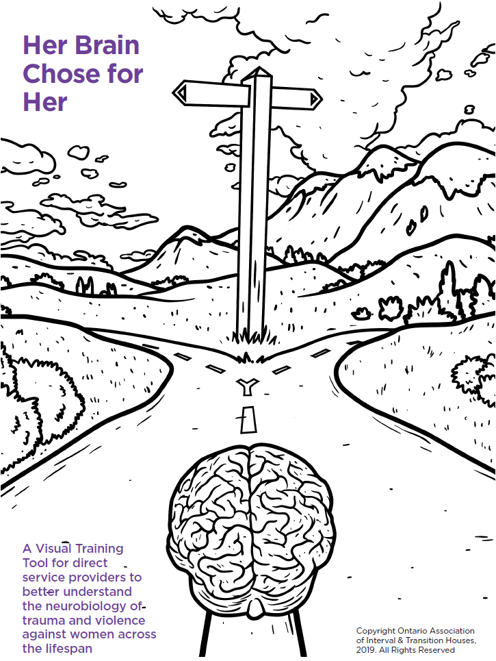 A Visual Training Tool for direct service providers to better understand the neurobiology of trauma and violence against women across the lifespan