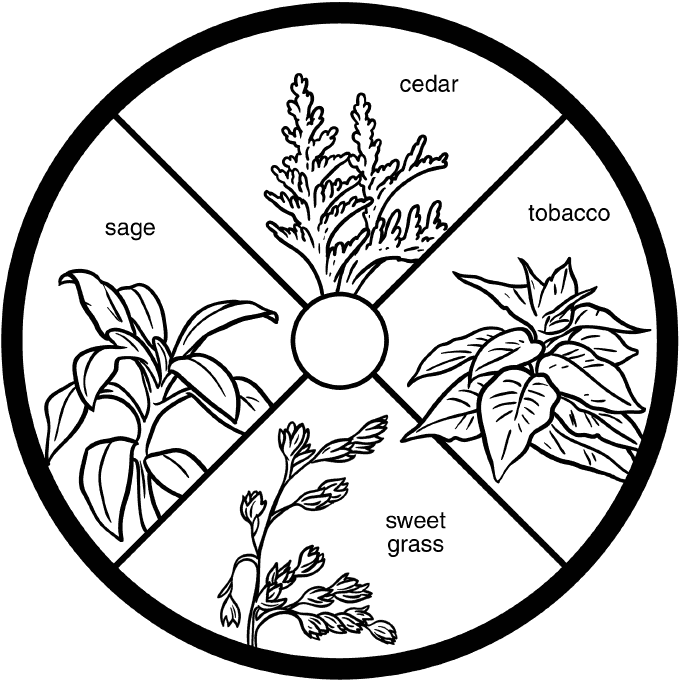 sacred plants: cedar, tobacco, sweet grass, sage
