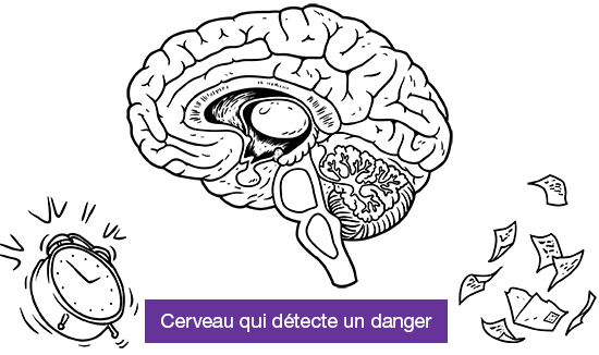 Brain Senses Danger