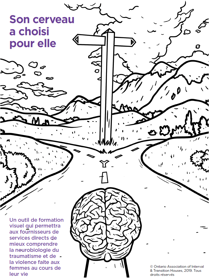 A Visual Training Tool for direct service providers to better understand the neurobiology of trauma and violence against women across the lifespan