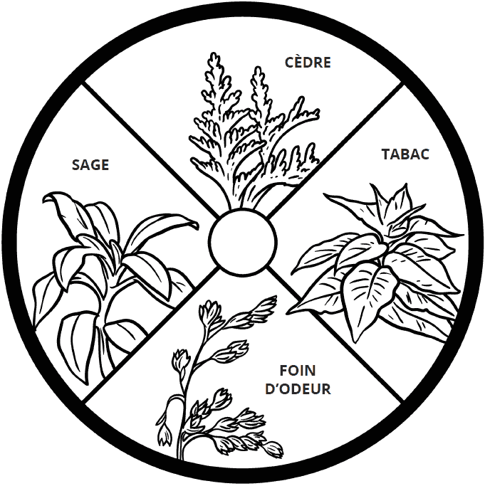 sacred plants: cedar, tobacco, sweet grass, sage