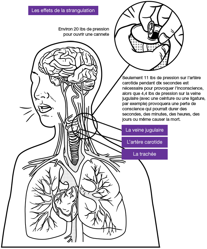 Impacts of strangulation: carotid artery, jugular vein, trachea